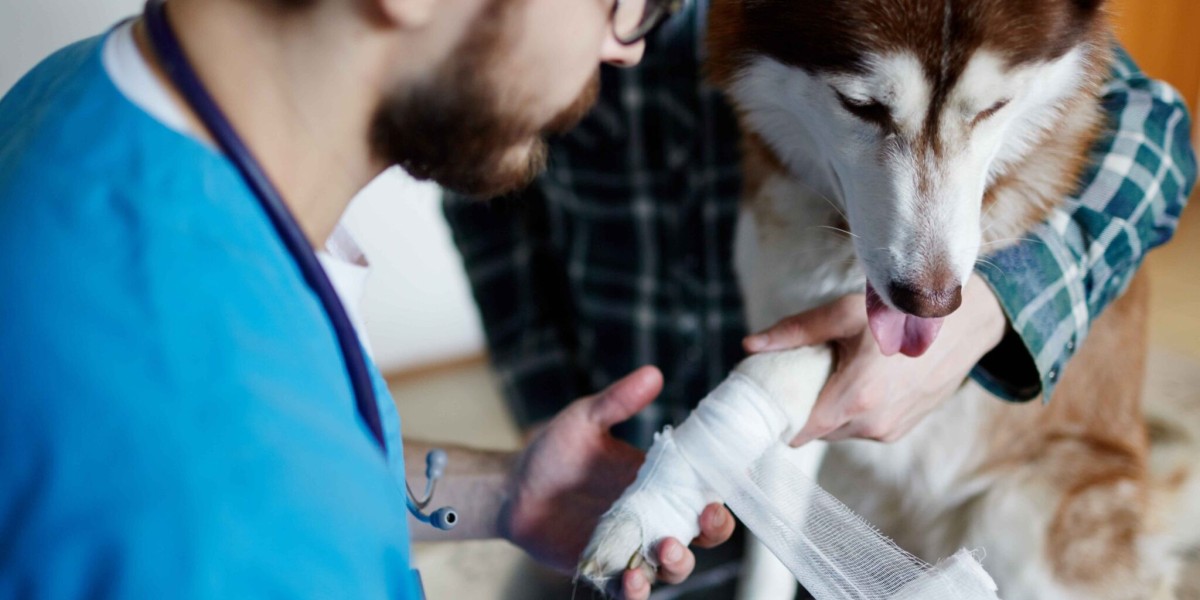 Pet Emergency & Trauma Services: What Every Pet Owner Needs to Know