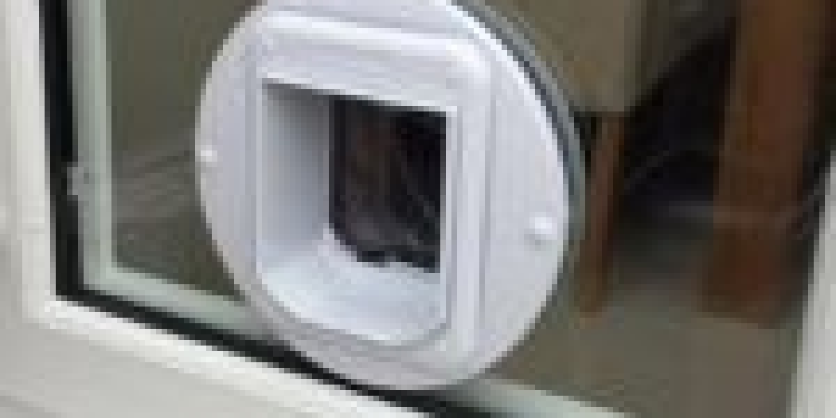 20 Myths About Cat Door Installation: Debunked