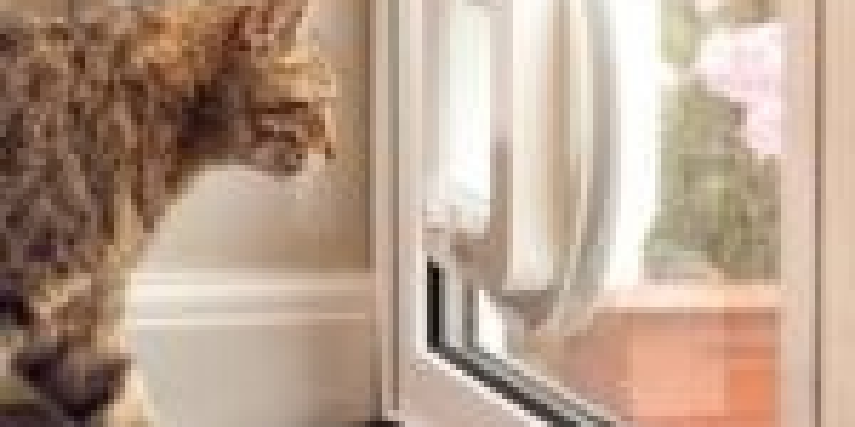 15 Reasons You Shouldn't Ignore Cat Door Maintenance