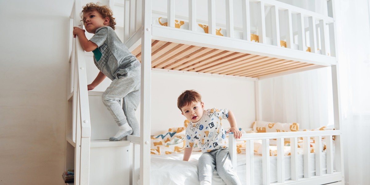 Why Is Bunk Bed For Adults So Famous?