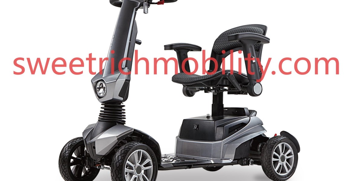 Travel Scooter Factory for Dynamic Lifestyle Needs